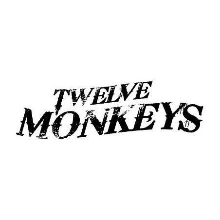 12 MONKEYS