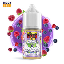 Concentré Fusion de Baies Sauvages 30ml - Biggy Bear Evo - 0mg