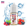Concentré Fruits Rouges Givrés Light Edition 30ml - Biggy Bear - 0mg