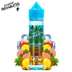 E-liquide Mangabey Iced 50ml - Ice Age by 12 Monkeys - 0mg