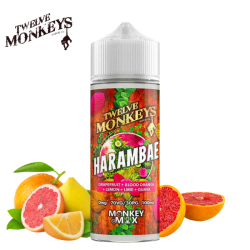 E-liquide Harambae 100ml - 12 Monkeys