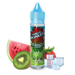 E-liquide KANZI ICED 50ml - Ice Age by 12 Monkeys
