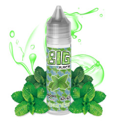 Menthe verte 50 ml - Big juice - 0mg