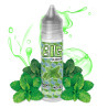 Menthe verte 50 ml - Big juice - 0mg