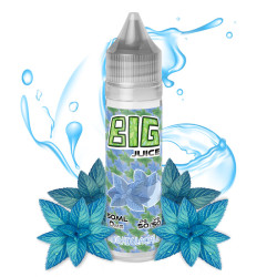 Menthe glaciale 50 ml - Big juice - 0mg