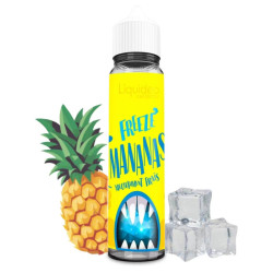 E-liquide Freeze Mananas 50ml - Liquideo