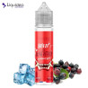 E-liquide Freeze Ice Juneberry 50ml - Liquideo - 0mg