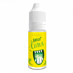 E-liquide Freeze Citrus 10ml - Liquideo - 0mg