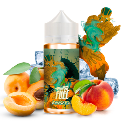 E-liquide Kansetsu 100ml - Fighter Fuel by Maison Fuel