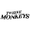 12 MONKEYS